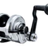 Accurate Boss Dauntless Two Speed Reels 1 Accurate Boss Dauntless Two Speed Reels -CatchPro Shop accurate boss dauntless two speed reels 97838.1651148231