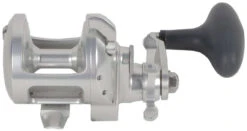 Accurate Tern 2 Star Drag Conventional Reels -CatchPro Shop accurate tern 2 star drag conventional reels 21860.1651453184