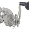 Accurate Tern 2 Star Drag Conventional Reels -CatchPro Shop accurate tern 2 star drag conventional reels 64498.1651453184