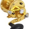 Avet LX 4.6 G2 1 Speed Reel - Gold (No Glide Plate)