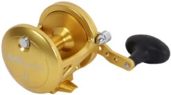 Avet LX 4.6 G2 1 Speed Reel - Gold (No Glide Plate) -CatchPro Shop avet lx 4 6 g2 rh gd ngp reel 81304.1651417650