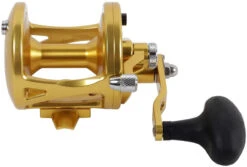 Avet LX 4.6 G2 1 Speed Reel - Gold (No Glide Plate) -CatchPro Shop avet lx 4 6 g2 rh gd ngp reel 92219.1651417650