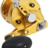 Avet MXJ 5.8 G2 MC 1 Speed Reel - Gold (No Glide Plate)