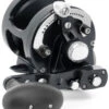 Avet MXJ 6/4 MC Raptor 2-Speed Lever Drag Casting Reel - Black 2 Avet MXJ 6/4 MC Raptor 2-Speed Lever Drag Casting Reel - Black -CatchPro Shop avet mxj 64 raptor 2 speed lever drag casting reel black 65189.1650991834
