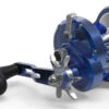 Avet MXL 5.8 Star Drag Reel - Blue/Silver