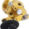 Avet SXJ 5.3 G2 MC NGP 1 Speed Reel - Gold (No Glide Plate) 1 Avet SXJ 5.3 G2 MC NGP 1 Speed Reel - Gold (No Glide Plate) -CatchPro Shop avet sxj 5 3 g2 mc rh gd ngp reel 08248.1670342455.386.513