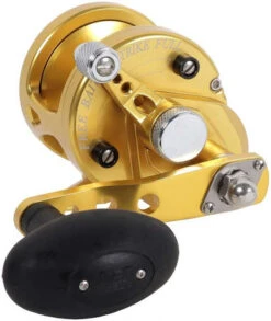 Avet SXJ 5.3 G2 MC NGP 1 Speed Reel - Gold (No Glide Plate)