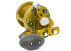 Avet SXJ 6/4 2-Speed Lever Drag Casting Reel - Gold