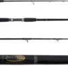 Blackfin Fin #18 Fin Series Spinning Rod -CatchPro Shop blackfin fin no 18 fin series spinning rod 41262.1651075108