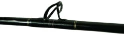 Blackfin Saltwater Bottom Fishing Rods 9 Blackfin Saltwater Bottom Fishing Rods -CatchPro Shop blackfin saltwater bottom fishing rods 87591.1651075239