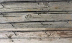 ODM 2021 Genesis Surf Spinning Rods -CatchPro Shop odm rods genesis saltwater surf spinning rods 94577.1651081251