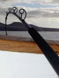 Phenix Black Diamond Hybrid Offshore Conventional Rods -CatchPro Shop phenix black diamond hybrid offshore conventional rods 94768.1651077055