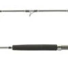 Shimano Terez BW BFC Spinning Rods