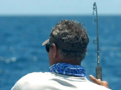 Shimano Terez Spinning Rods 7 Shimano Terez Spinning Rods -CatchPro Shop shimano terez spinning fishing rods 44313.1651006832