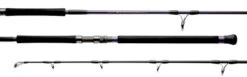 Temple Reef Ronin Spinning Rod